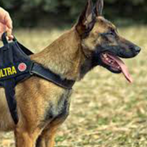 Free HTML5 Template by FREEHTML5.co